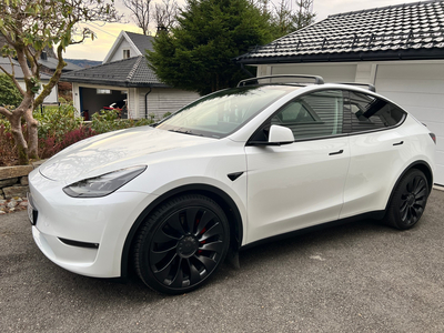 Tesla Model Y MODEL Y Performance, 21