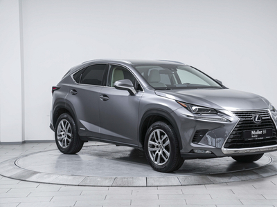 2019 Lexus NX 300h Executive - Skinn, R.kam, Keyless, Navi, Cruise