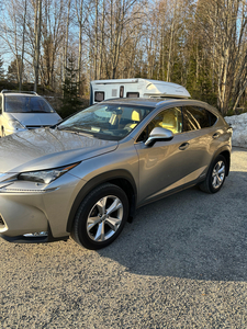 Lexus NX 300h 300h Luxury