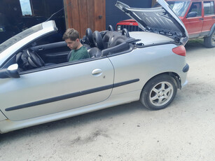 Peugeot 206 206 1.6-109