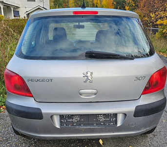 Peugeot 307 1.6-109