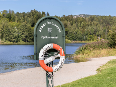 HEGGEDAL Blåbærskogen 11