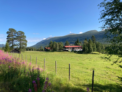 Innholdsrikt gårdsbruk i Brydalen selges