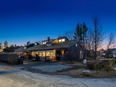 Flott, kjedet enebolig med carport, kjeller med egen inngang & solrik terrasse. Store vinduer & stilig arkitektur.