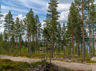 SØRE OSEN Osskogen 20