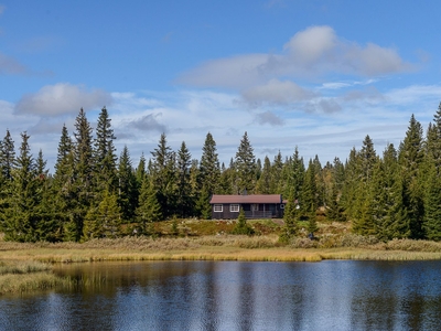 Sjusjøen-Brøttum 1099