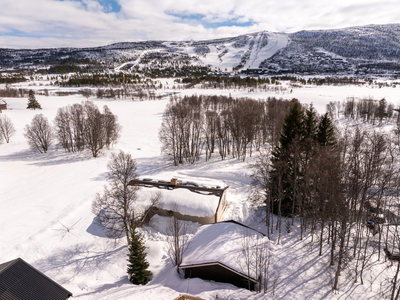 Ustedalen 116 - Enebolig