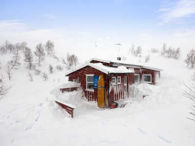 Hytte Høgaleitet