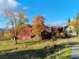 Flott gård på Skafså, 2369 daa m/tilhørende våningshus, bygg, skog, jord, utmark m/jakt og fiske