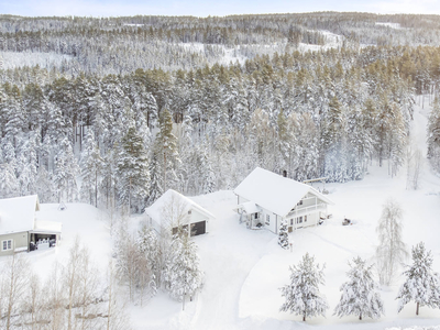 SETSKOG Butjernåsen 50