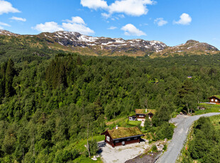 SAUDASJØEN Brekkestølsbråtet