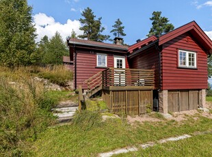 Nyborgåsen 29