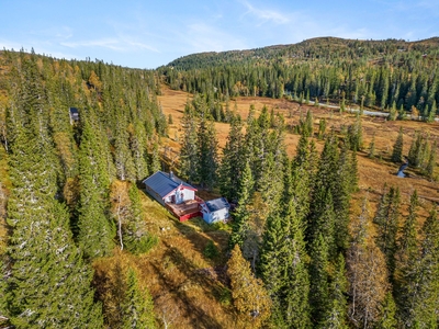 Koselig hytte beliggende i populært hytteområde i Heståsdalen. Turmuligheter i flott fjellterreng sommer som vinter.