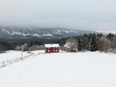 Nilsfellinga, Rendalen, Finnstad. Fjellgård med tun og 3 hytter. Del i stort utmarksområde. Jakt og fiskemuligheter!