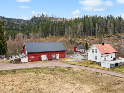 Småbruksidyll i naturskjønne omgivelser nær Lakssjø | Enebolig | 3 soverom | Kun 30 min til Skien |Låve med stallplasser