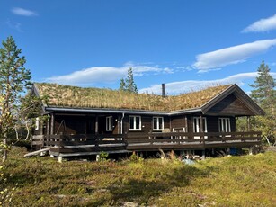 Vulusjøvegen 584