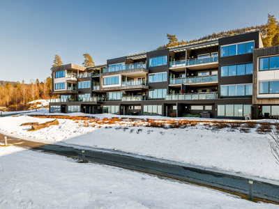 2-roms leilighet med fantastisk utsikt over Tyrifjorden, lang kveldssol. Garasjeplass i parkeringskjeller, heis i bygget