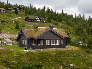 Lyserstølen 46