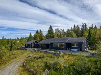 Høgåsen 44