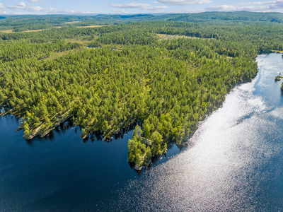 Skogeiendom på 2565,8 dekar - hyttefelt med 25 festeforhold - Hytte med unik beliggenhet ved Oppsjøen - jaktrettigheter