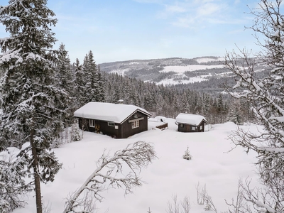 ETNEDAL Jyllandsvegen 55