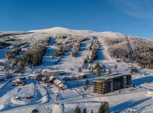 Trysil Alpine Lodge 313