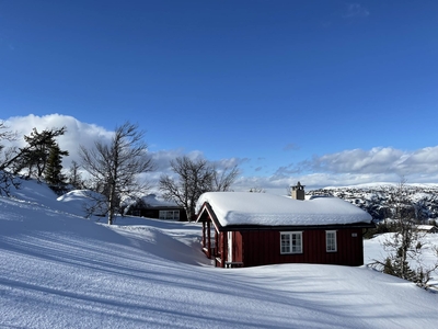 REINLI Dugurdsbergvegen 180