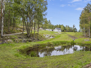 Fagerlia, Froland - Renovert småbruksidyll - Landlig men meget sentralt - Mange bruksområder