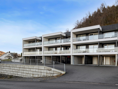 Nyere leilighet med 3 soverom, utsikt og carport