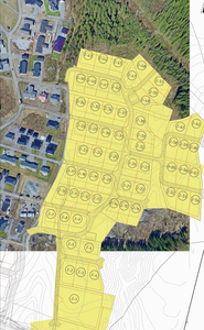 Prestegårdsskogen fase 2 - Boligtomt