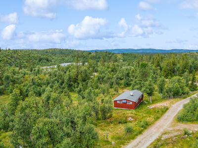 HEDALEN Bergvassvegen 79