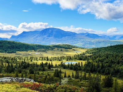 HEMSEDAL Eikrestølvegen 389