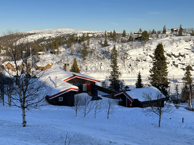 REINLI Fjellstølbakkin 20