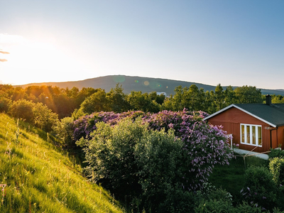 Visning: Torsdag 26.10 kl. 17.30 - Påmelding