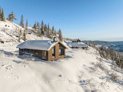 ETNEDAL Fjellsvardevegen 16