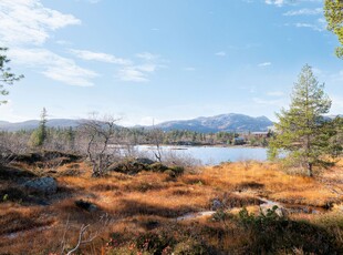 Borsævegen 1889A