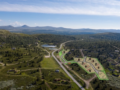 Tomtefelt Slåbakkene, Venabygdsfjellet