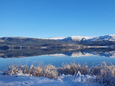 HØYLANDET Hognesvegen 585