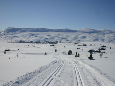 Rennefjellvegen