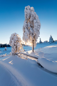 ETNEDAL Fjelltjednvegen 4