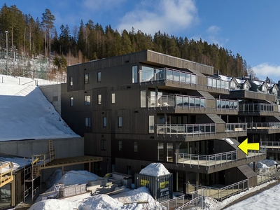 Flugsrudskogen 9- leilighet 2.1 i trinn 1