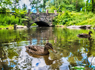 OSLO Bergensveien 4A