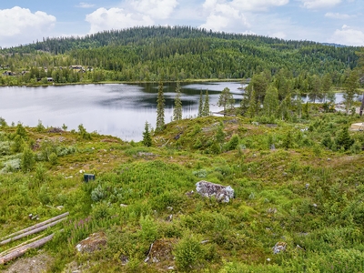 Tomt Småliane vest