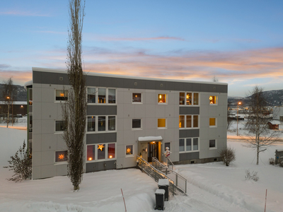 Fin leilighet i veletablert boligområde