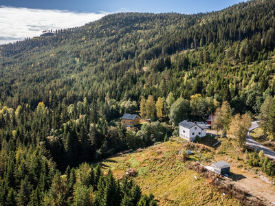 Rendalen - Eldre, sjarmerende enebolig over to plan med oppussingsbehov. Romslig, solrik tomt. 6 soverom.