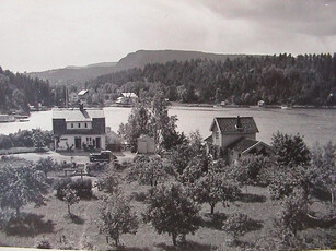 Nesøya's beste tomt? Nydelig 5,6 mål stor eiendom - lang strandlinje - brygge - vestvendt! Ramme til riving!