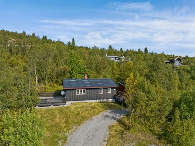 Bygdinvegen 3855