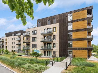 Innholdsrik 1-roms selveier med god standard (2020) - buss, sjø og park rett ved! - Terrasse på 17 m² - Heis