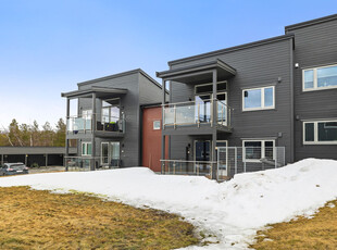 Saga: Lys og innbydende 2- roms leilighet. Terrasse. Vedfyring.