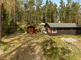 Fjellet 41